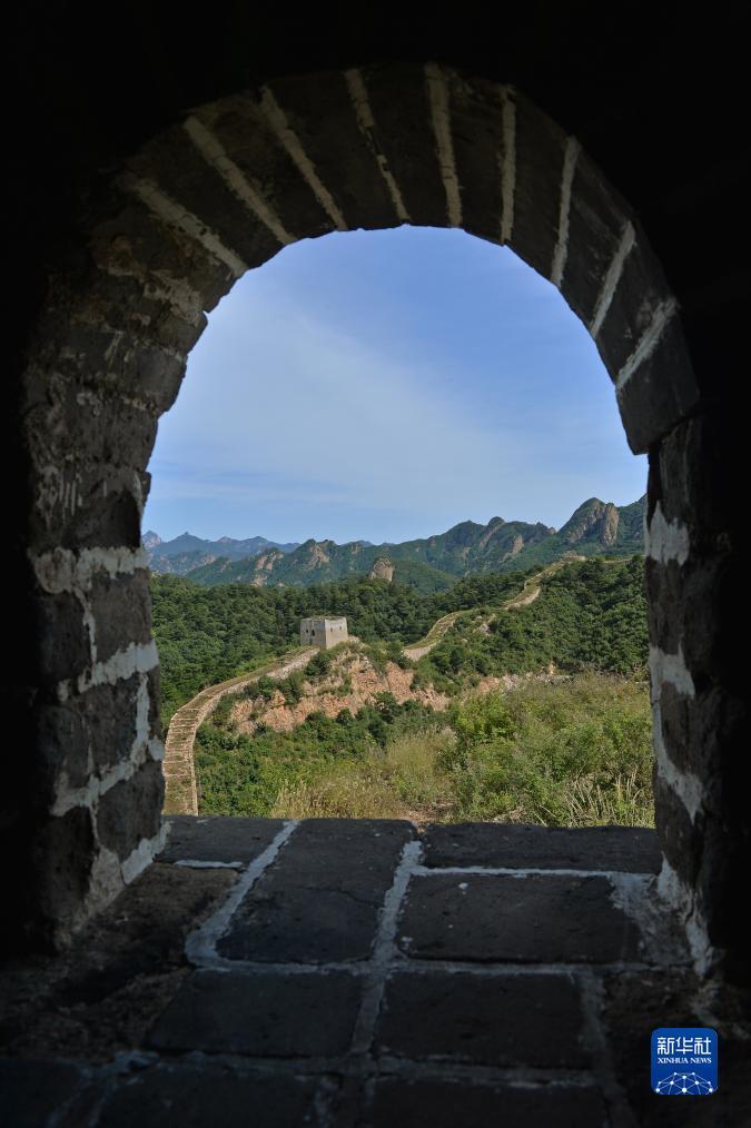 彩霸王论坛免费资料